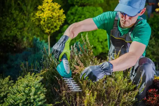 landscaping services Chalmette